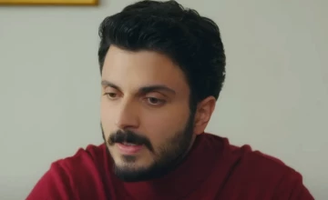 Плен 250 серия