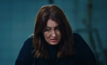Плен 350 серия