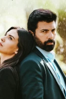 Плен - постер сериала